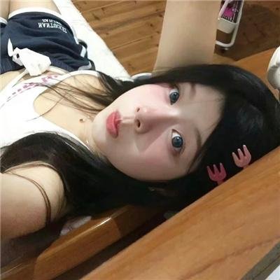美女与猎犬封面